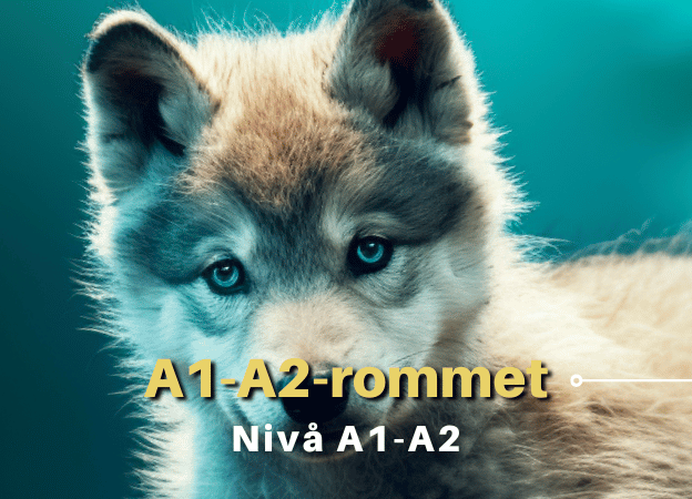 A1-A2-rommet | Helsenorsk for deg! og Nå begynner vi! course image