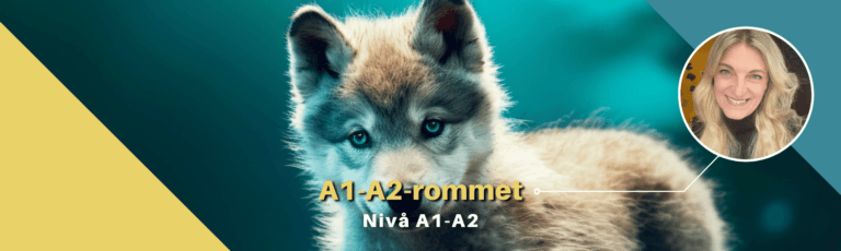 A1-A2-rommet | Helsenorsk for deg! og Nå begynner vi!