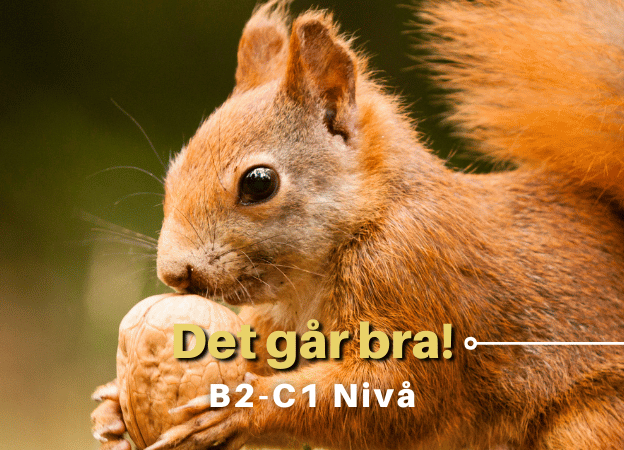 Det går bra! | B2-C1 course image