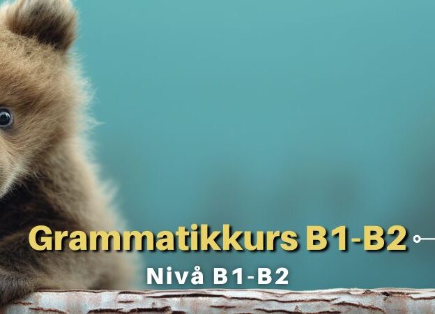 Grammatikkurs | B1-B2 course image