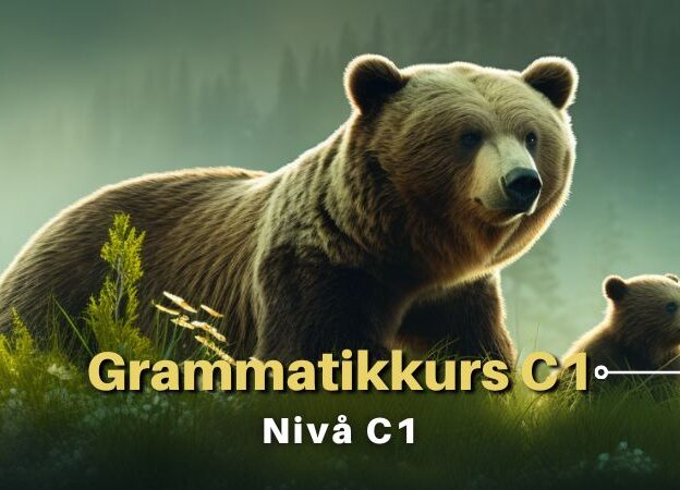 Grammatikkurs | C1 course image