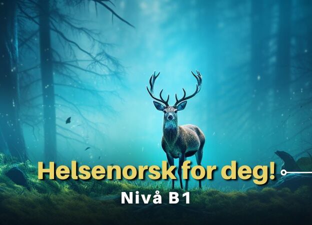 Helsenorsk for deg! | B1 course image