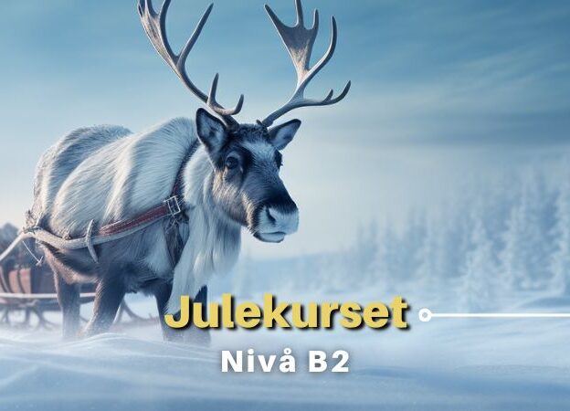 Julekurset | B2 course image