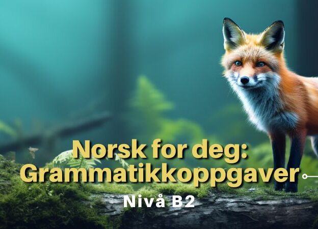 Norsk for deg: Grammatikkoppgaver course image