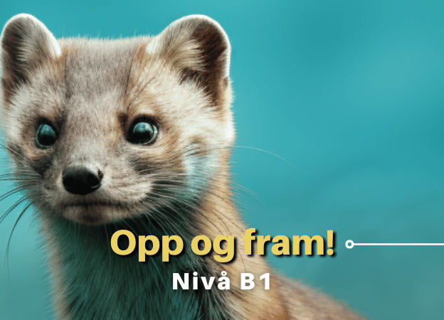 Opp og fram! | B1 course image