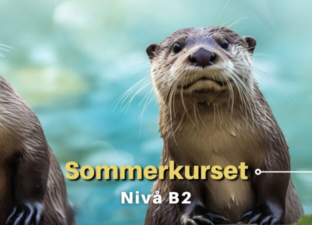 Sommerkurset | B2 course image