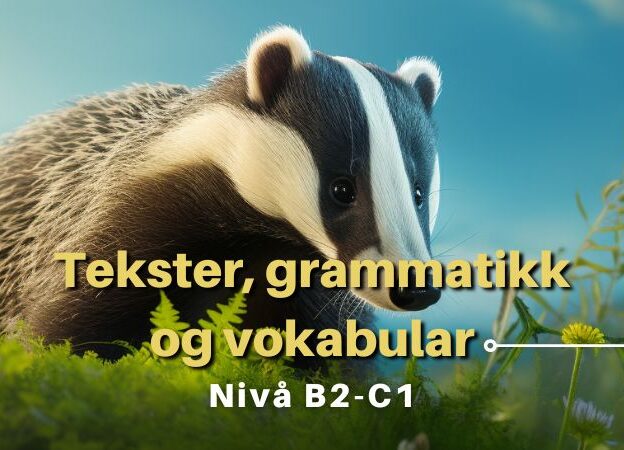 Tekster, grammatikk og vokabular course image