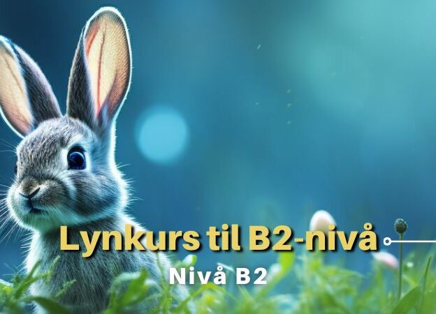 Lynkurs til B2-nivå course image