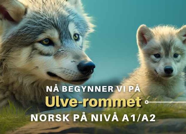 Ulve-rommet | Nå begynner vi med norsk på A1/A2-nivå course image