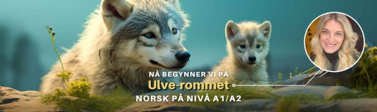 Ulve-rommet | Nå begynner vi med norsk på A1/A2-nivå