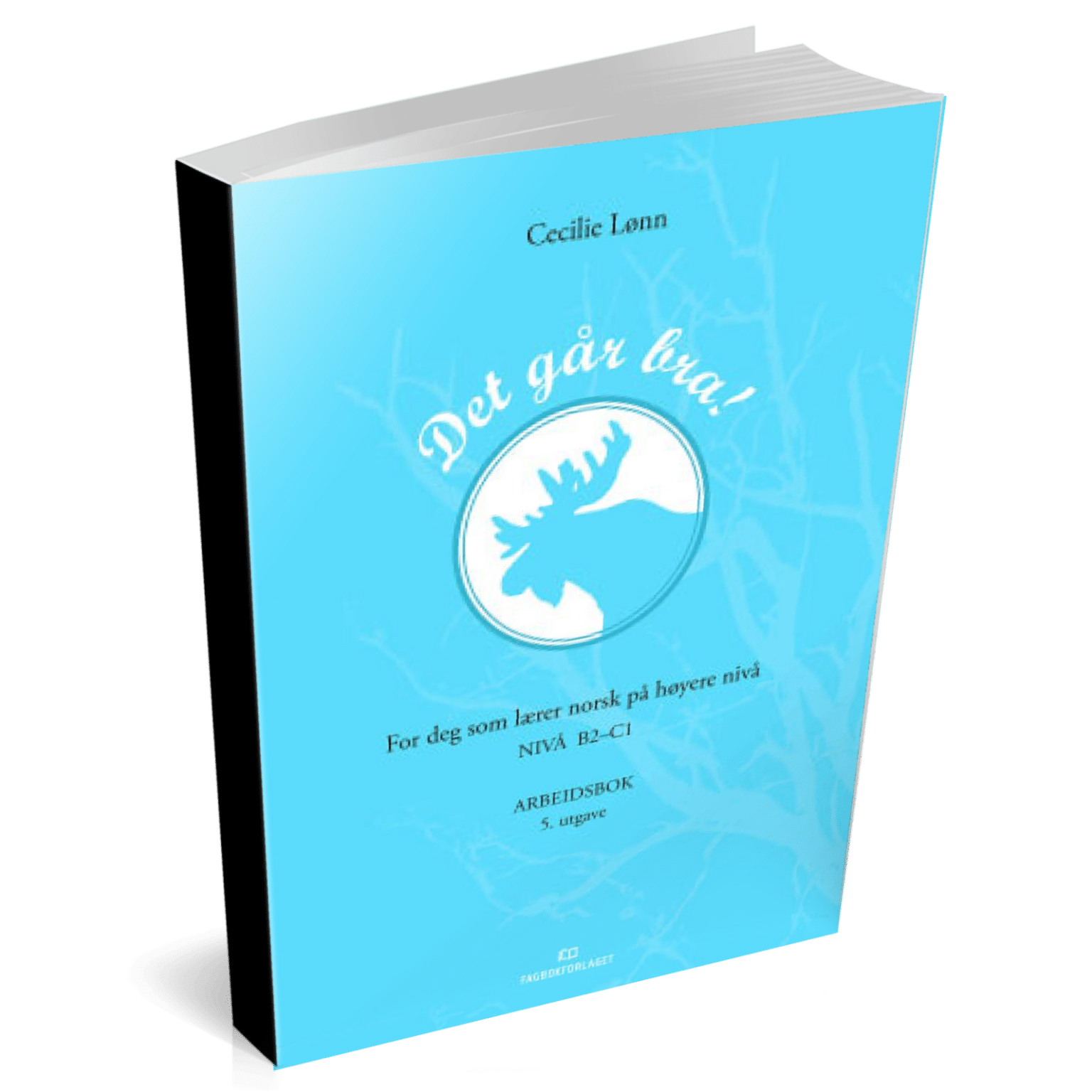 you-re-doing-great-workbook-cecilie-s-norwegian-portal