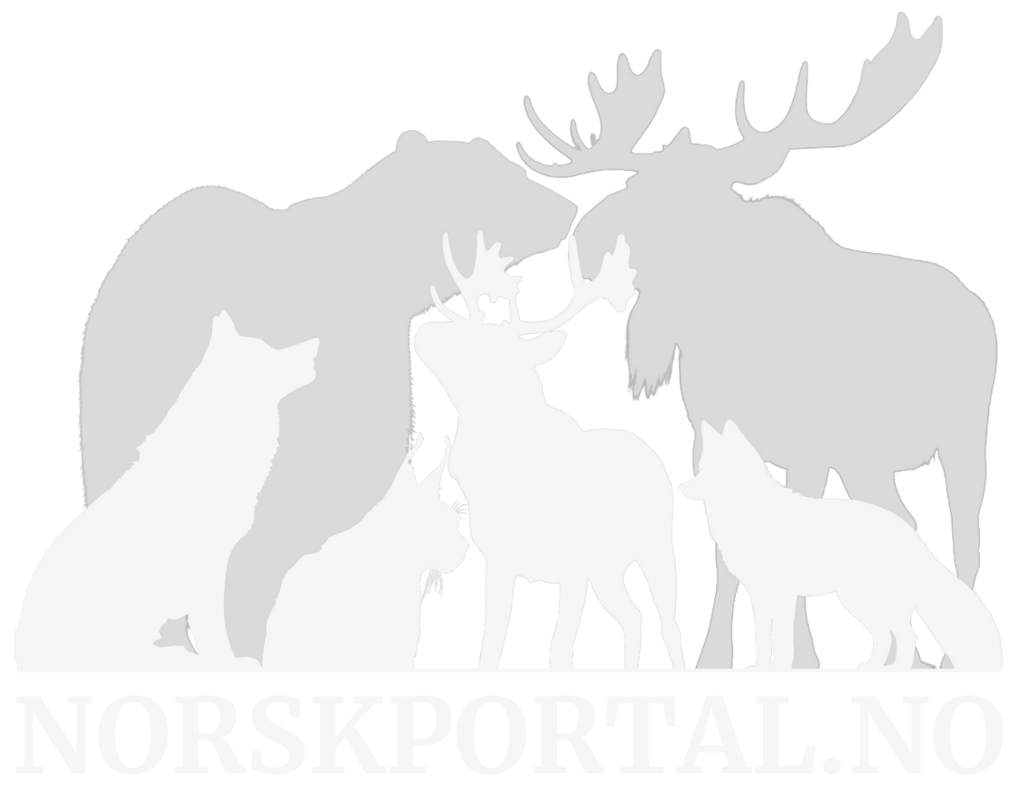 Cecilies Norsk-portal!